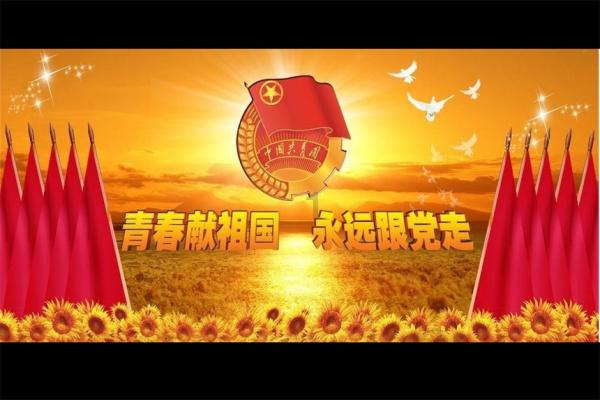 吃金币的猫