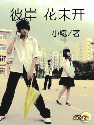 超黄金街霸3